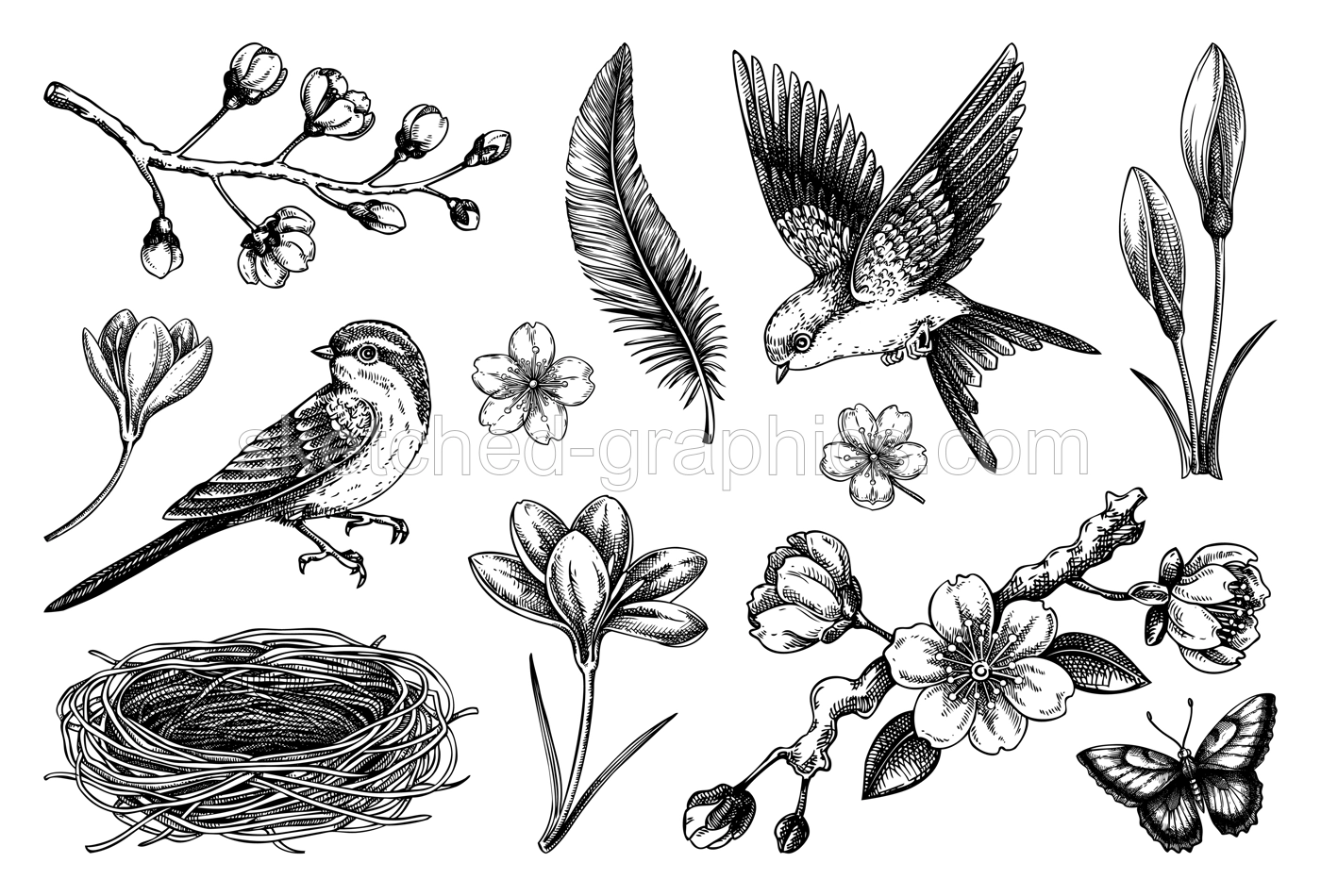 Hand-drawn spring sketches. Flying birds, sakura flowers, bird house, saffron vector illustrations. Easter design elements. NOT AI generated Illustration